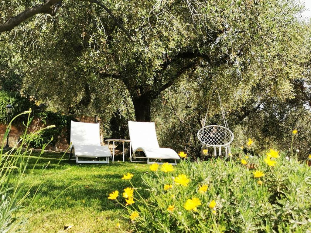Agriturismo C'Era Una Volta Camporosso (Liguria) Exterior foto